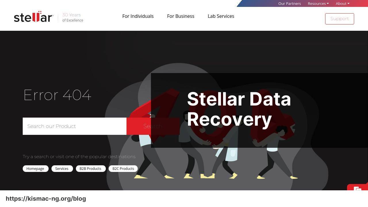 https://www.stellarinfo.com/data-recovery-services.php screenshot